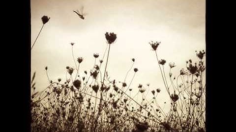 Fingers In The Noise ~ Saw Deep