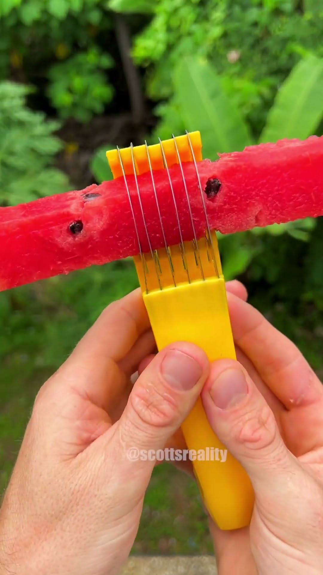 Will it slice watermelon? ?