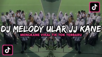 DJ MELODY ULAR JJ KANE TIKTOK