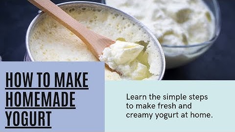 HOW TO MAKE YOGURT AT HOME WITH ONLY 2 INGREDIENTS |STEP BY STEP FAIL PROOF METHOD|BEGINNER FRIENDLY
