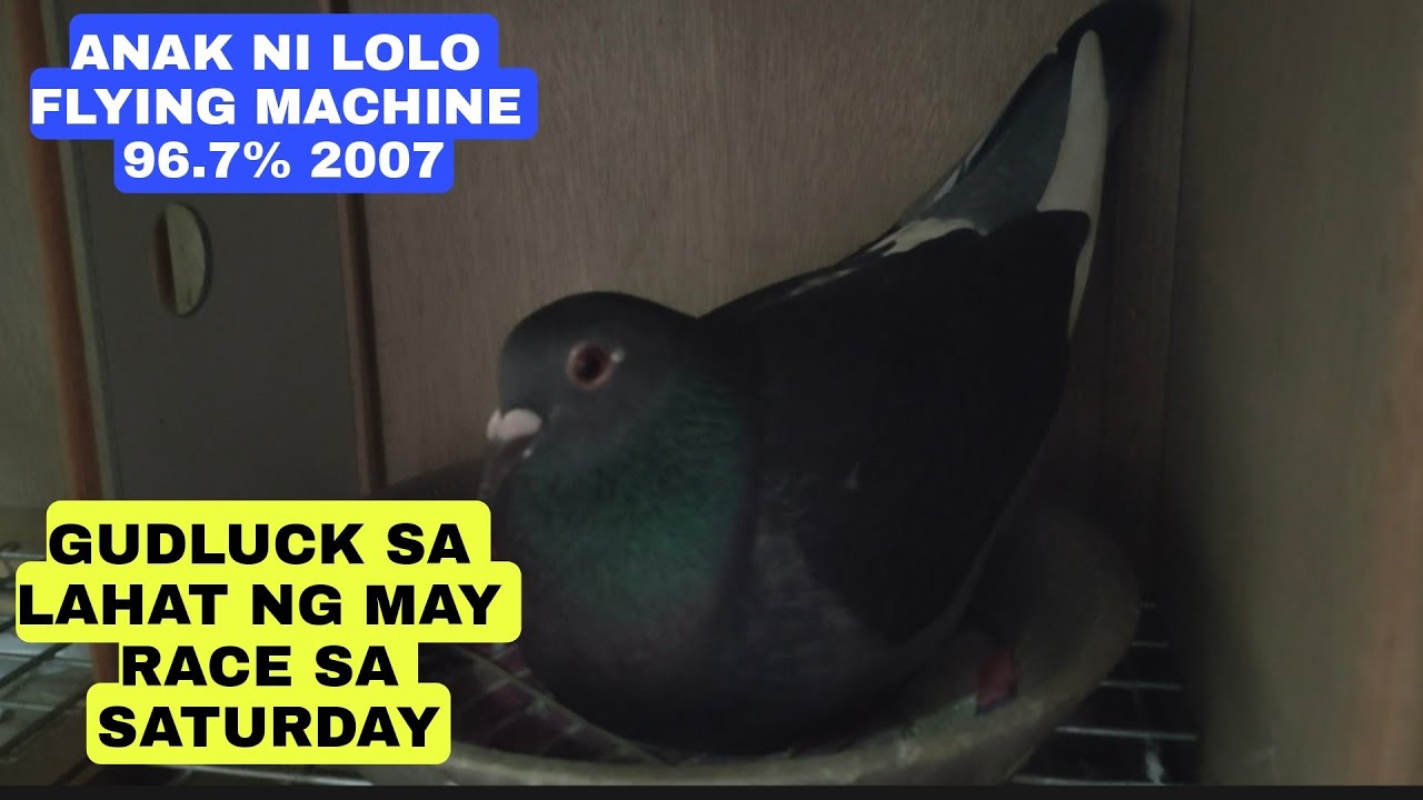 BAGONG BALIK YB WPFC HINDI NA NATIN IKAKARGA NG STA ANA CAGAYAN...