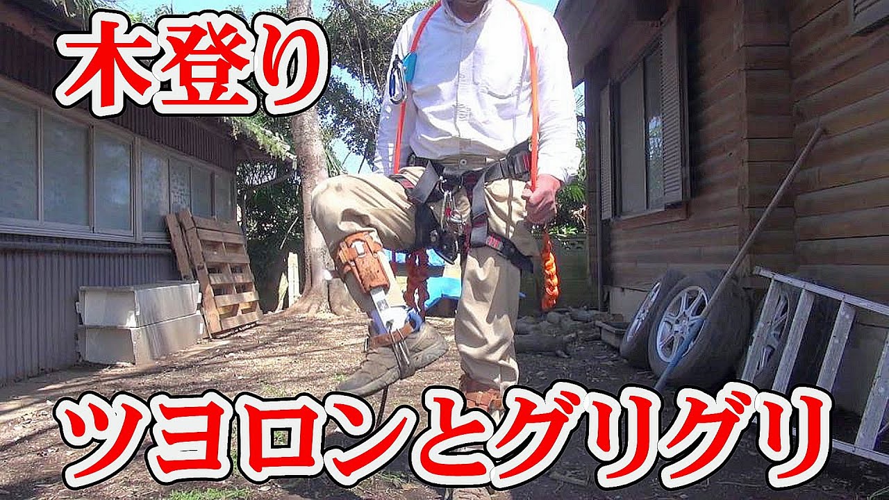 ツヨロンFG－2とPETZLグリグリで木登り - YouTube