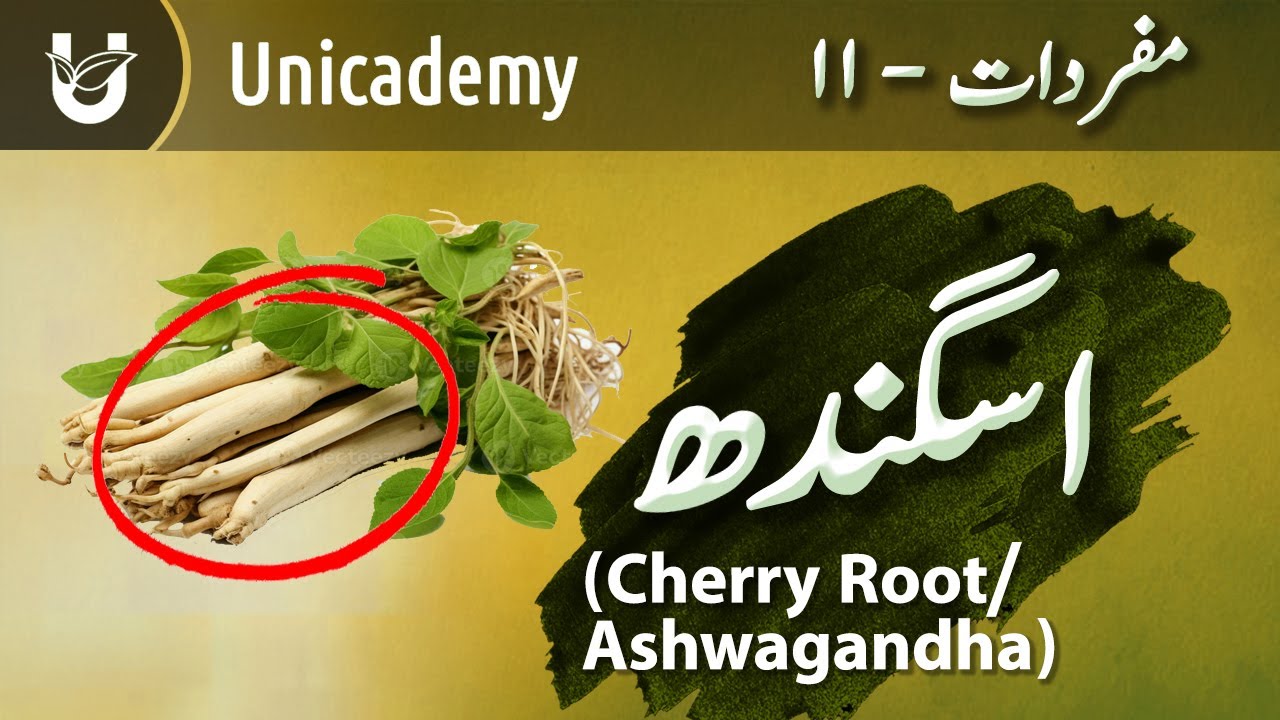 Asgandh (Ashwagandha | Indian Ginseng | Winter Cherry) | اسگندھ