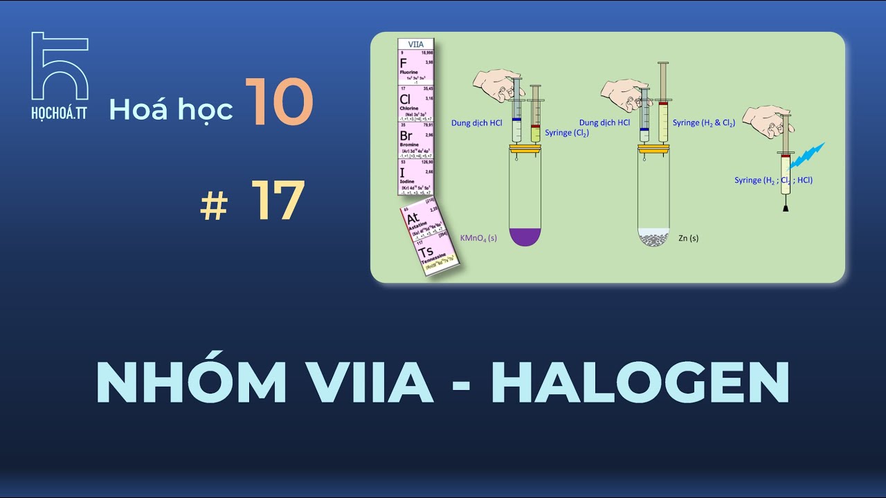 Halogen (Hóa học 10)