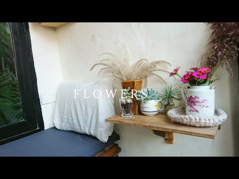 Daily Vlog #30 | bunga baru penghuni terasku | Menata tanaman