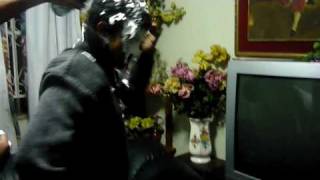 shapingo el espumoso 2