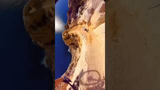 One wrong move and it's over 😳 #mtb #downhill #POV