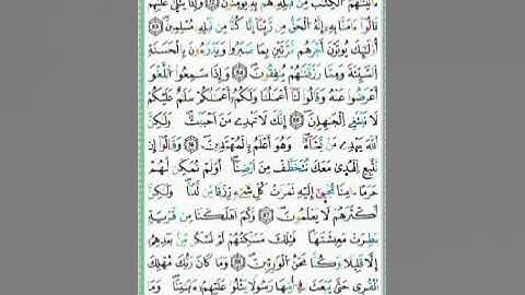 صفحة/٣٩٢/ رواية ورش عن نافع/ سورة القصص/ ابو النور الهادي
