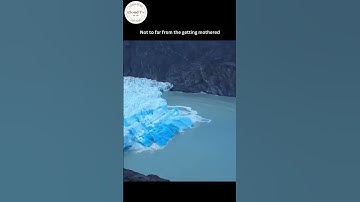 Day 98 of posting until i reach 1 million subs (21\1M) #entertainment #viralvideo #shorts #explore