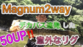 レイドジャパン【マグナム２WAY】を意外な使い方したらでかバス連発した！フックサイズ、リグり方実釣解説！【エバーグリーン ギズモ】