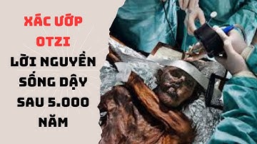 Xác Ướp Otzi – Lời Nguyền Sống Dậy Sau 5 000 Năm