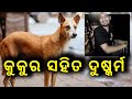     devil inside of human  odia roast  faltu toka