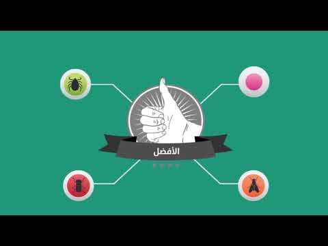 شركة رش حشرات بجدة شركة إتقان كلين 0564633837