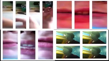 Row Row Row Boat Yotowhooh Quadparison 3