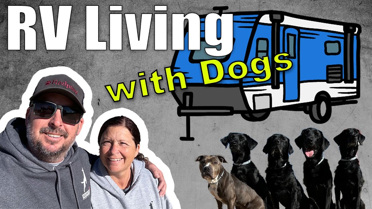 We Live in an RV with 5 Dogs in 2024 - 