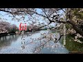 音楽劇「桜の下で君と」ドキュメンタリー 今伝えたい事(CM)