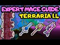 TERRARIA EXPERT MAGE PROGRESSION GUIDE 5! Terraria Mage Guide for Beginners! Hardmode Guide!