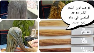 كيفيه توحيد لون الشعر وماهي درجات الشعر بعد التفتيح مع gigizhran