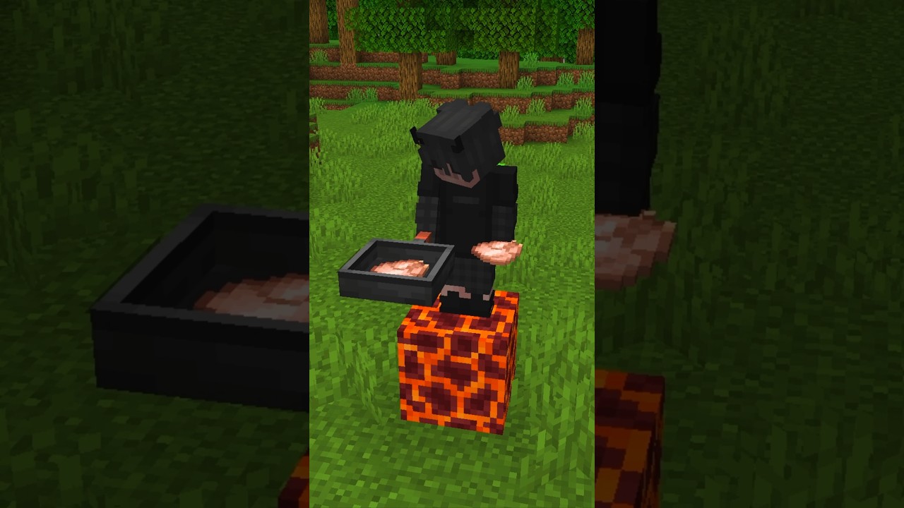 MIRA ESTO SI ERES UN POLLO EN Minecraft