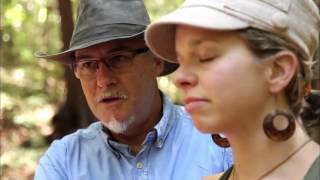 Forest Therapy Documentary, United States Segment