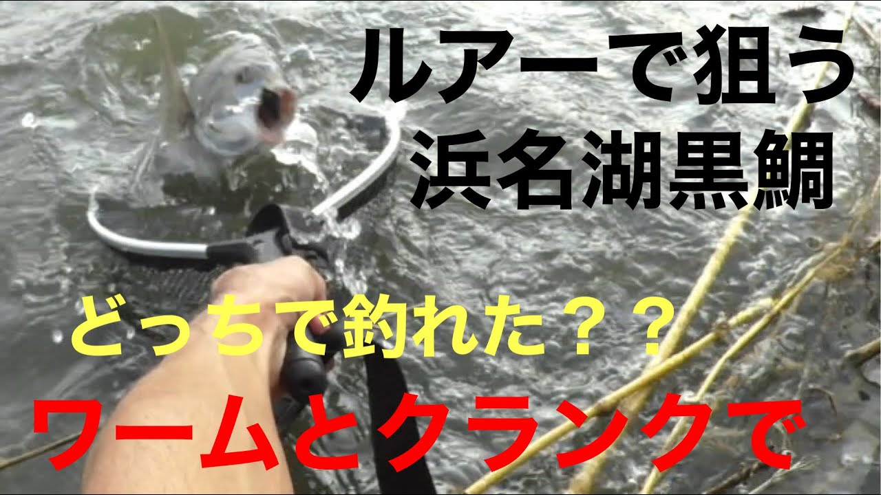 浜名湖黒鯛をルアー チニング で狙う 釣れたルアーは Youtube