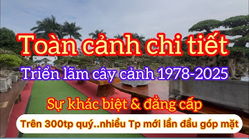 Xem chi tiết toàn cảnh triển lãm cây cảnh hội 1978 Duy Tiên, hà nam 2025; đẳng cấp chưa từng có