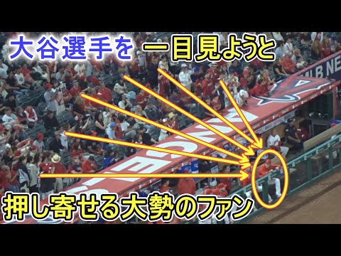 最終値下げ✨️大谷翔平 私服カードファイターズ時代 最終値下げ✨️大谷翔平 私服カードファイターズ時代 最終値下げ