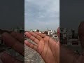 Saiyaraaaa #kite #kiteflying #kitevideo #ytshortsindia #viralshorts #kiteshorts