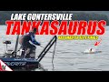 This SPOT is POPPIN! - Bassmaster Elite Lake Guntersville FINALS - UFB Ep.36 (4K)