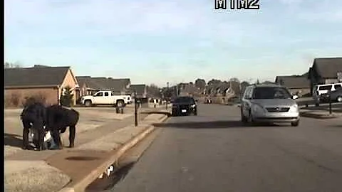 Madison Police officer charged with assault use of...