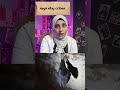 تعرف ايه عن الخفاش
