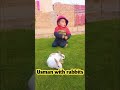 Usman And Rabbits |Rabbit's baby is eating leaf #cutebaby #trendingshorts #rabbit