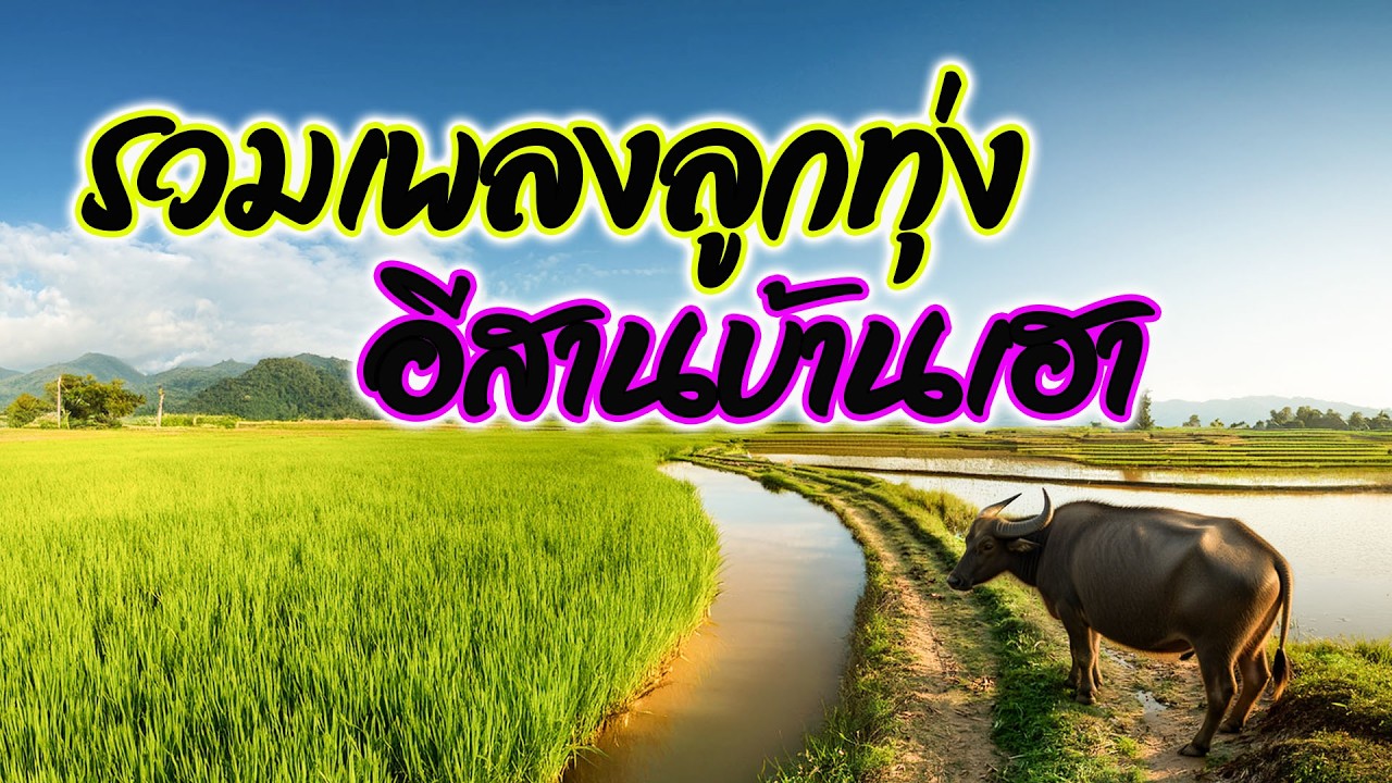 รวมเพลงลูกทุ่งเพราะ อีสานบ้านเฮา