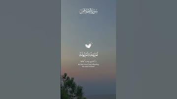 سورة الإخلاص #سورة #قرآن #قران_كريم