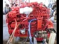 Cummins ISC 330HP Engine