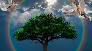 444 Hz Music 💫 Grounding ⚛️ Change Dimension⎪Angelic Scale 🌈 Solfeggio MATRIX Music Net Worth