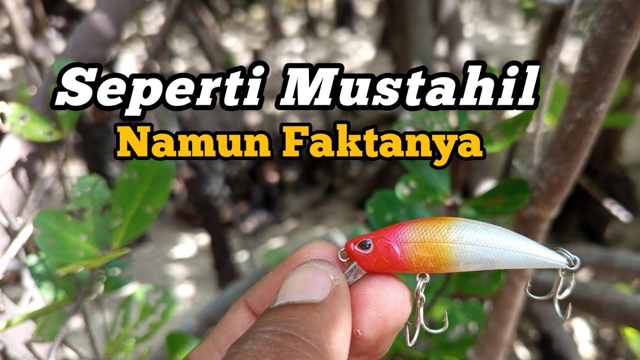 SEPERTI MUSTAHIL NAMUN FAKTANYA ‼️STRIKE IKAN BESAR DI SPOT DANGKAL || ultralight casting
