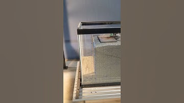 Maxwell Shake Table Test 02 No Key