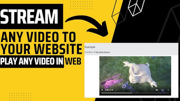 Stream any video in your website || Play any mp4 or mkv video into you website || html || css