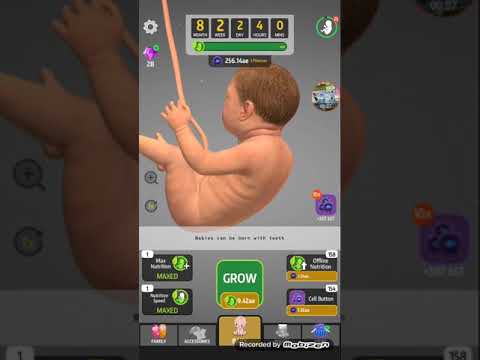 Vídeo: Que Jogos Você Pode Jogar Com Um Bebê De 8 Meses