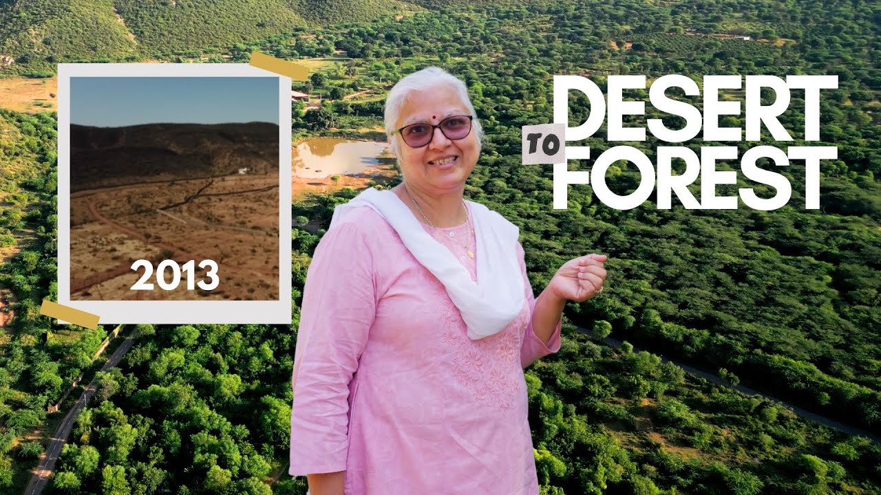 Она превратила бесплодную пустыню в цветущий лес в Раджастане