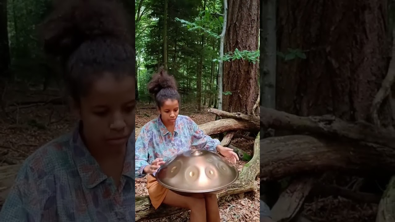 Halfway To Wales Handpan
