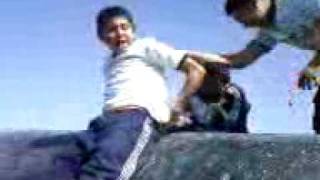 Calzon Chino Extremo - Creditos Para Cruzito