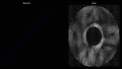 Differentially Heated Rotating Annulus Lab Expt - Assimilation component
