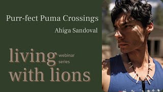 Purrfect Puma Crossings