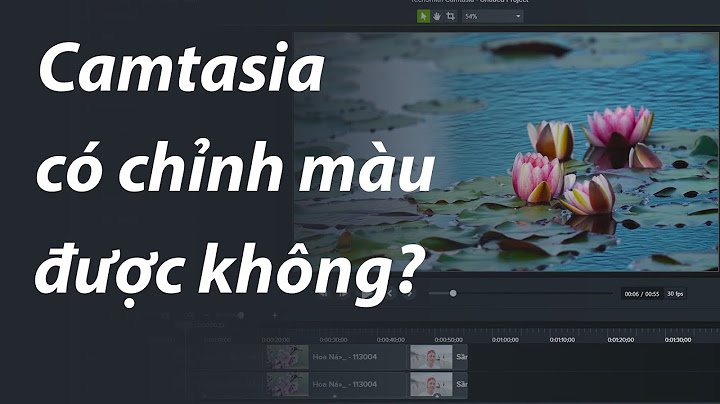 Hướng dẫn chỉnh sáng trong camtasia 9