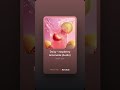 Daisy - raspberry lemonade (Audio) (Snippet)
