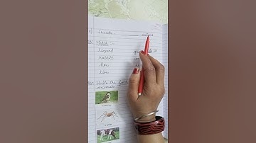 Revision worksheet 3 Ch- Food of Animals EVS. Class I