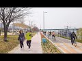 [4K] Walk to Han river park Jamwon district : Spring has come in Seoul 잠원 한강공원 산책