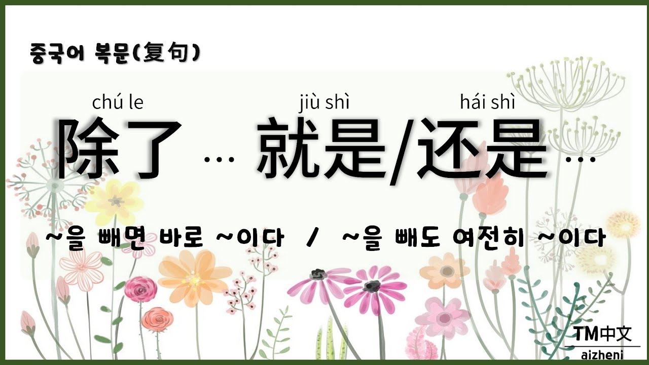 [중국어 복문] 除了…就是… 'A를 제외하면 바로 B이다' / 除了…还是… 'A를 제외해도 여전히 A이다' - YouTube
